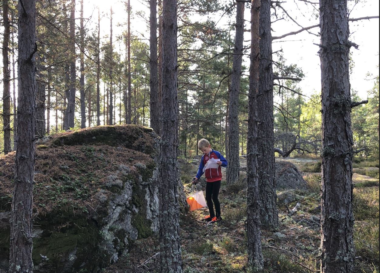 image: Välkommen på nybörjarträning