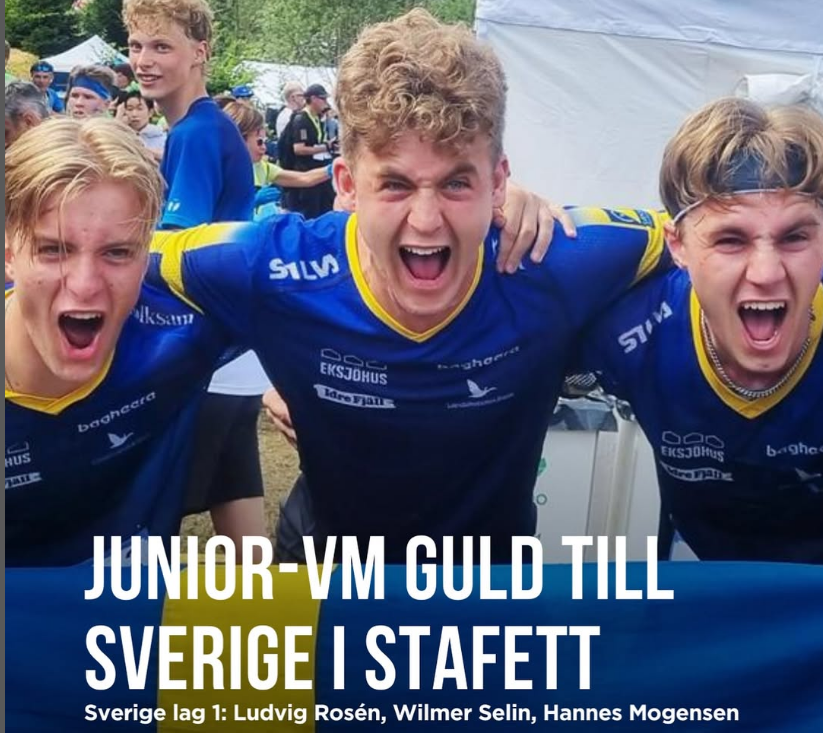 image: JVM GULD!