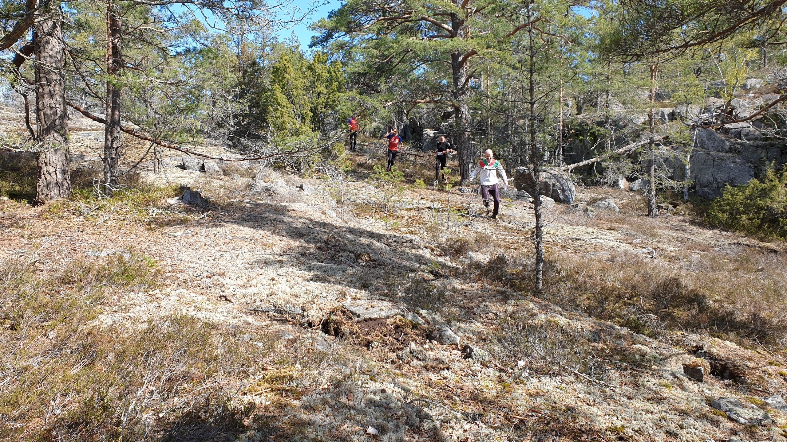 image: Lyx med långpass på våren